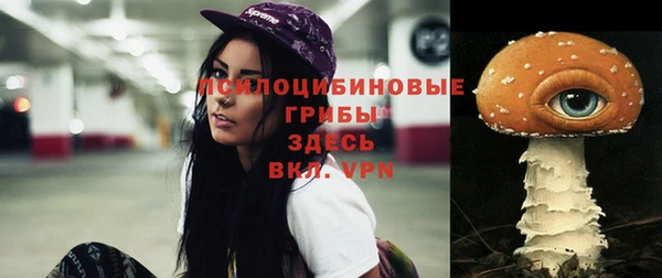 дживик Абаза