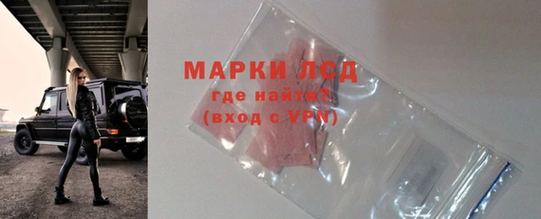 прущие грибы Абдулино